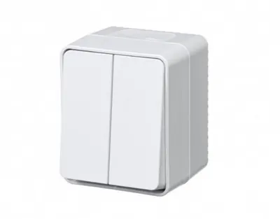 Выключатель двухклавишный IP54 10 АХ, БЕЛЫЙ, Россия ATN540151