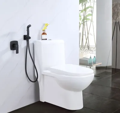 lm7219bl Смеситель Lemark Ursus LM7219BL с гигиеническим душем, встраиваемый